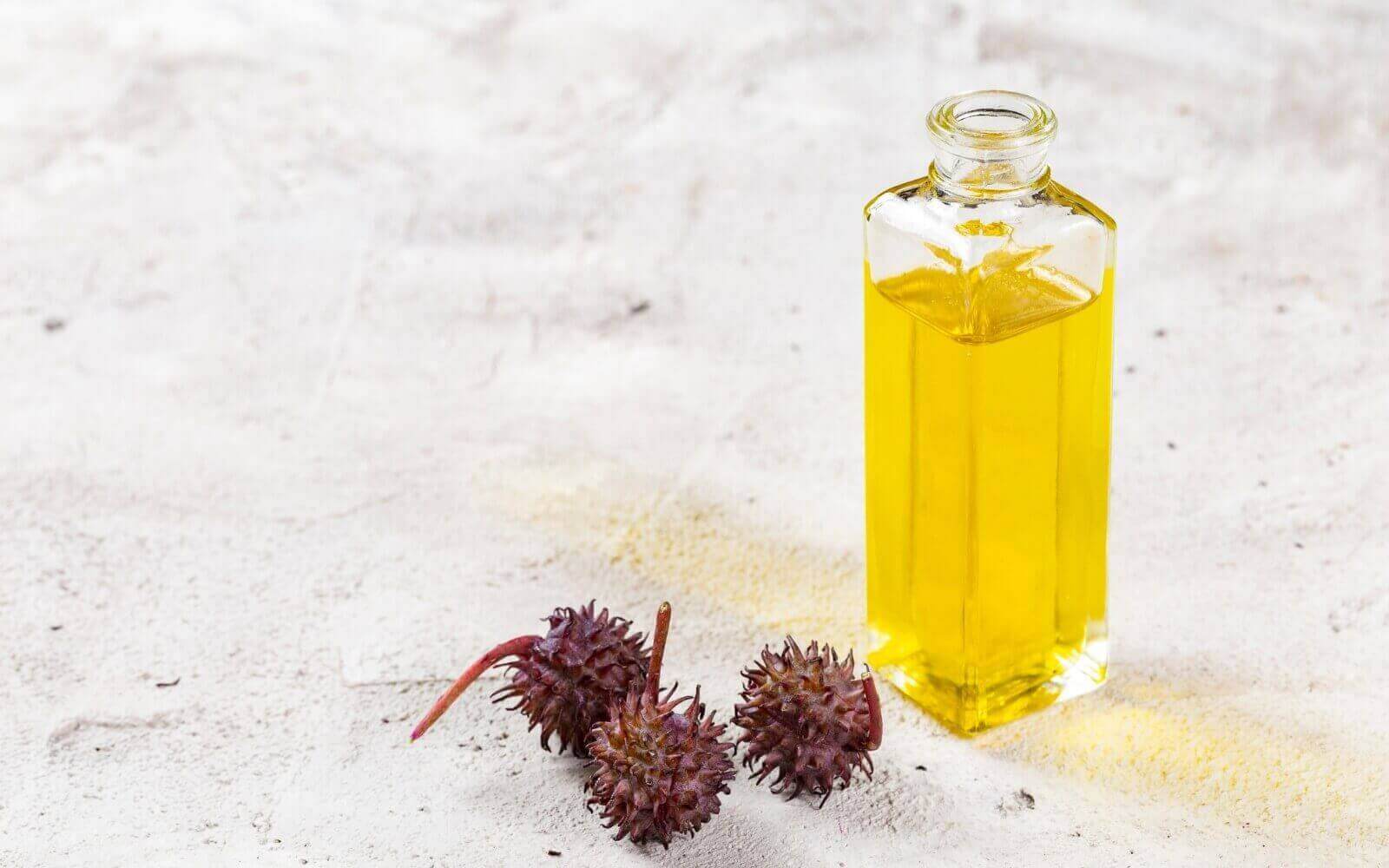 New on the Blog: What's All the Fuss About Castor Oil?