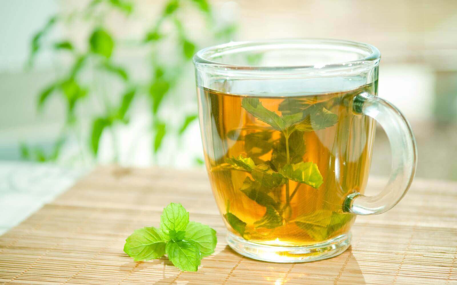 New on the Blog: Refreshing Spearmint: A Guide to Its Uses and Benefits