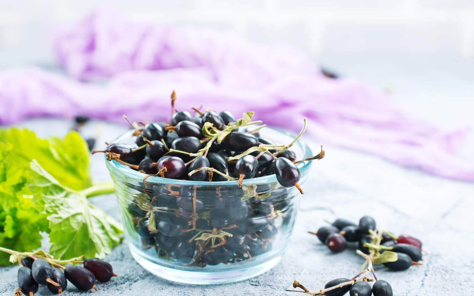 Why You Should Consider Black Currant Seed Oil for Your Health and Skincare Routine